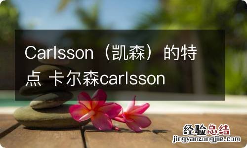 凯森 Carlsson的特点 卡尔森carlsson