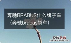 奔驰brabus轿车 奔驰BRABUS什么牌子车