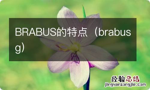 brabusg BRABUS的特点