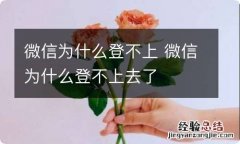 微信为什么登不上 微信为什么登不上去了