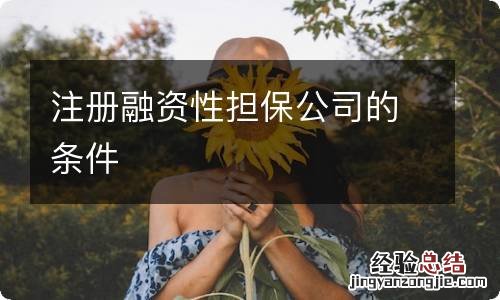 注册融资性担保公司的条件
