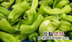 青椒怎么种 青椒怎么种植方法