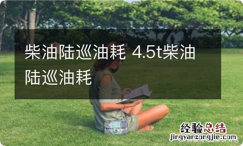 柴油陆巡油耗 4.5t柴油陆巡油耗