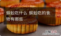 蜈蚣吃什么 蜈蚣吃的食物有哪些