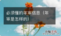 年审是怎样的 必须懂的年审信息