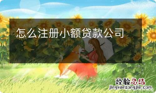 怎么注册小额贷款公司