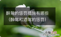 醉驾和酒驾的惩罚 醉驾的惩罚措施有哪些