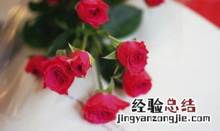 怎么让玫瑰花保鲜更久 怎么让玫瑰花保鲜