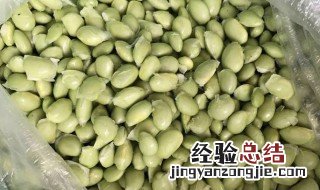鲜豆子怎么保鲜 怎样保存鲜豆子