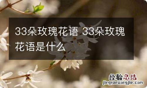 33朵玫瑰花语 33朵玫瑰花语是什么