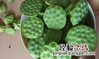 莲蓬子怎么种 莲蓬子怎么种植