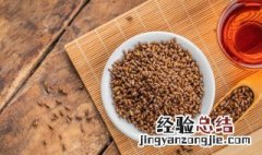 决明子怎么种植能当年收入吗 决明子怎么种