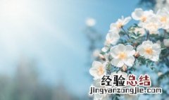 关于立春节气的句子英语 关于立春节气的句子