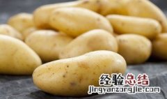 土豆籽怎么种盆栽 土豆自己怎么种盆栽