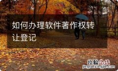 如何办理软件著作权转让登记