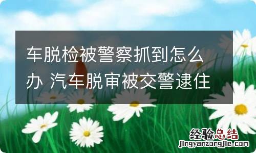 车脱检被警察抓到怎么办 汽车脱审被交警逮住了怎么办