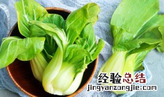 菜籽怎么种 菜籽怎么种植