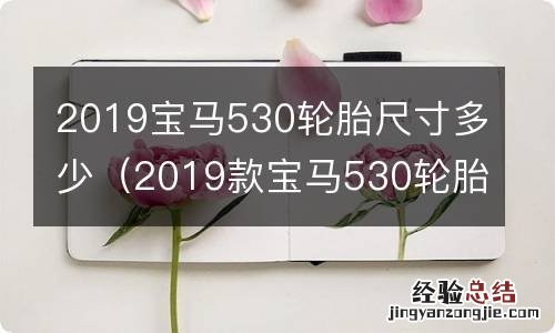 2019款宝马530轮胎规格 2019宝马530轮胎尺寸多少