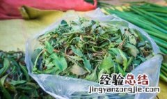 山东苦菜怎么保鲜 苦菜怎样保鲜