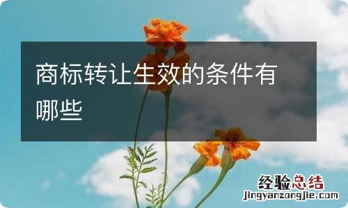 商标转让生效的条件有哪些