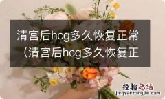 清宫后hcg多久恢复正常值 清宫后hcg多久恢复正常