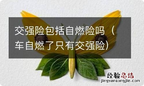 车自燃了只有交强险 交强险包括自燃险吗