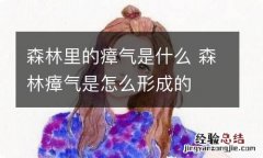 森林里的瘴气是什么 森林瘴气是怎么形成的