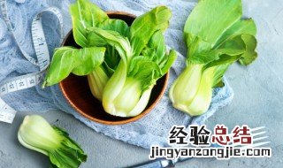 上海青怎么种 上海青怎么种植方法视频