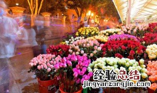 三十八朵玫瑰花代表什么意思 38朵玫瑰的花语是什么