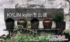 KYLIN kylin怎么读