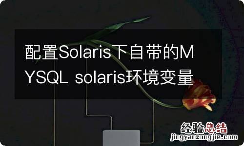 配置Solaris下自带的MYSQL solaris环境变量配置文件