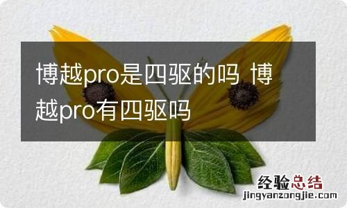 博越pro是四驱的吗 博越pro有四驱吗