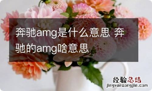 奔驰amg是什么意思 奔驰的amg啥意思