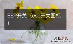 esp开关图标 ESP开关