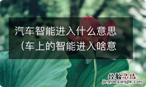 车上的智能进入啥意思 汽车智能进入什么意思