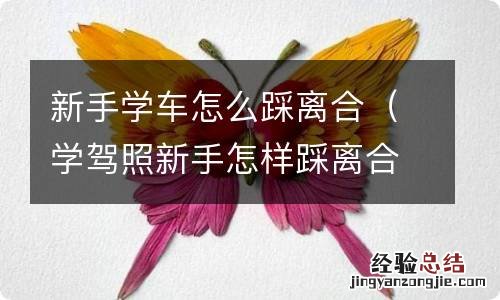 学驾照新手怎样踩离合 新手学车怎么踩离合