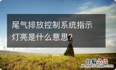 尾气排放控制系统指示灯亮是什么意思？