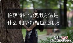 帕萨特档位使用方法是什么 帕萨特档位使用方法视频