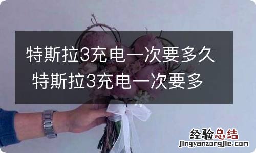 特斯拉3充电一次要多久 特斯拉3充电一次要多久钱