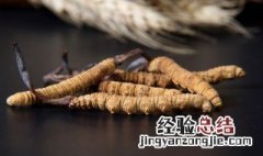 小孩能吃虫草吗 小孩能食用虫草的吗