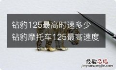 钻豹125最高时速多少 钻豹摩托车125最高速度