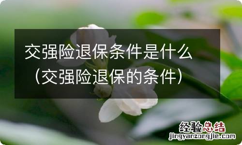 交强险退保的条件 交强险退保条件是什么