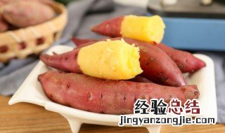 地瓜储存温度 地瓜储存温度是什么