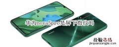 华为nova5pro是屏下指纹吗