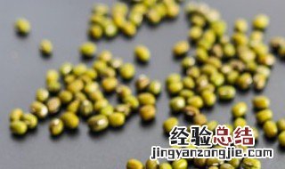 绿豆是双子叶植物还是单子叶植物 绿豆是双子叶植物还是单子叶植物呢