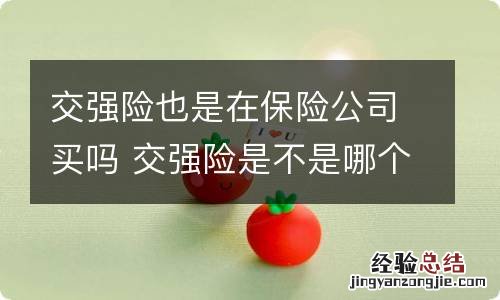 交强险也是在保险公司买吗 交强险是不是哪个公司都可以买