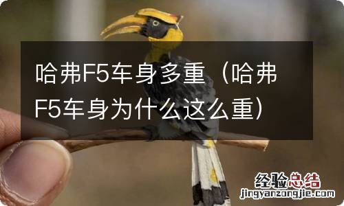 哈弗F5车身为什么这么重 哈弗F5车身多重
