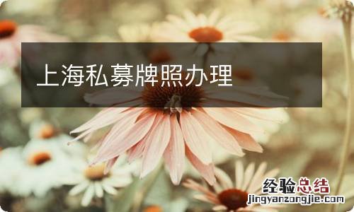 上海私募牌照办理