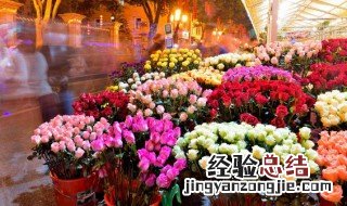 月季几月份剪枝插土里 月季剪枝插土里的时间