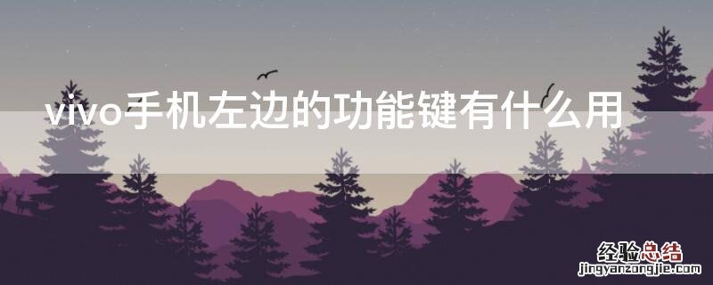 vivo手机左边的功能键有什么用途 vivo手机左边的功能键有什么用